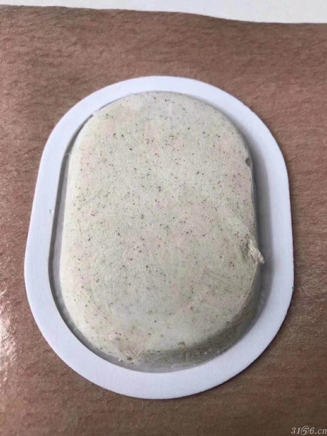 秦鲁沙蒿子透皮贴